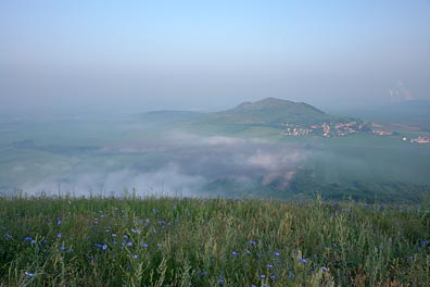 Ranná z Oblíka, mlha