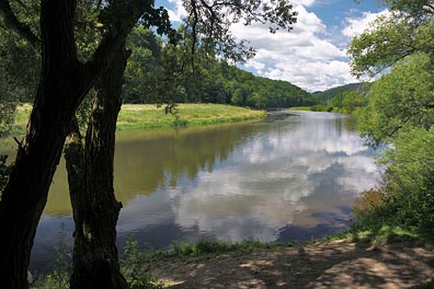 Berounka nad Nezabudicema