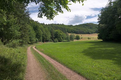 údolí Zbirožského potoka pod Jankovským mlýnem