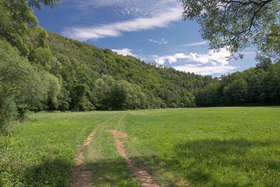 údolí Zbirožského potoka u Ostroveckého mlýna