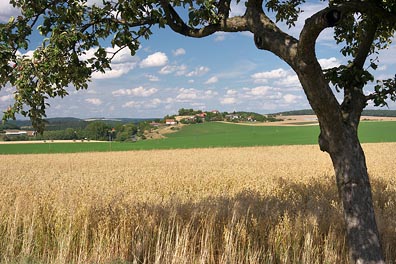 krajina, Podmokly