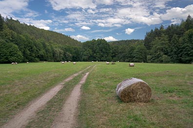 údolí Javornice pod Kostelíkem