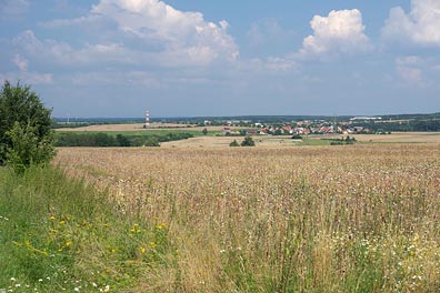 Tuřice a okolí