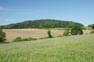 vrch Káčov od Hořeních Kruhů