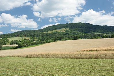 Kozákov od Radostné pod Kozákovem