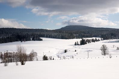 krajina u Kvildy, Stráž