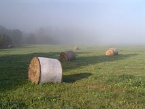 balíky na louce, mlha