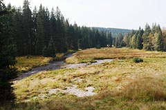 soutok Roklanského a Javořího potoka