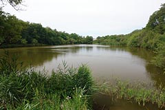 rybník pod Černým Volem