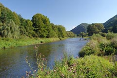 Berounka nad Týřovicema