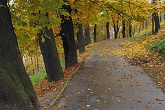 cesta na Petříně, podzim