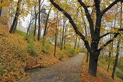 Petřín, podzim, cesta