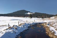 Hamerský potok, vrch Sokol