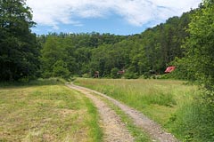 údolí Kocáby pod Bojanovicema