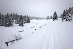 krajina u Roklanského potoka