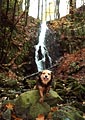 pes, vodopád na potoce v Bobří soutězce