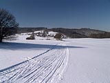 krajina u Cunkova, Javorová skála