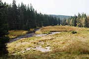 soutok Roklanského a Javořího potoka