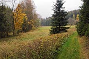 údolí Kosího potoka nad Křínovem