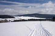 krajina u Nových Hutí - Polesí