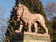 lev u zámku Zbiroh