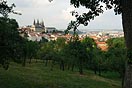 pohled na Pražský hrad, Malou Stranu z Petřína