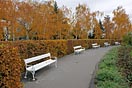 lavičky na Petříně, podzim